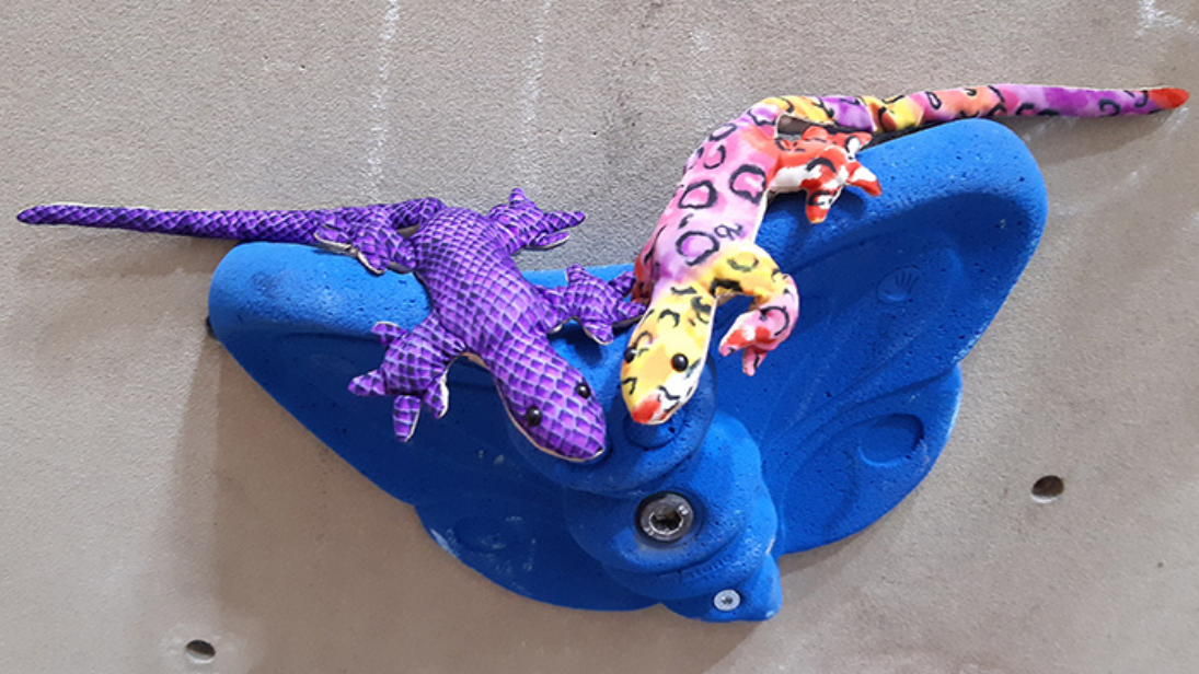 Rettet die Geckos in der Bronx Rock! © Bronx Rock Kletterhalle